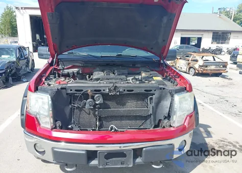 2009 Ford F-150 Fx4/King Ranch/Lariat/Platinum/Xl/Xlt z USA, uszkodzony, nr VIN 1FTPW14V59FB39284